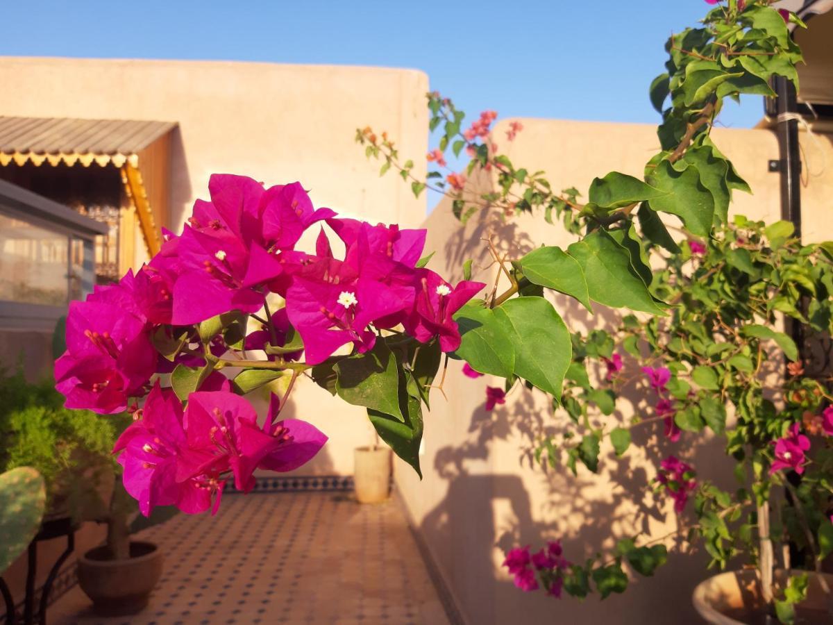 Riad Miral Marrakesh Eksteriør bilde