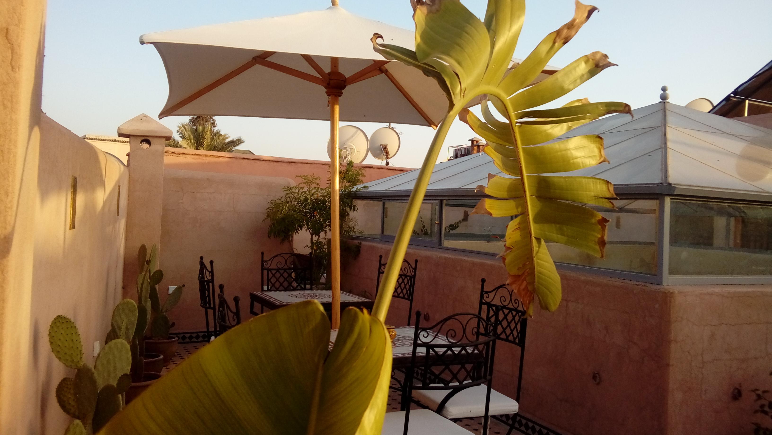 Riad Miral Marrakesh Eksteriør bilde